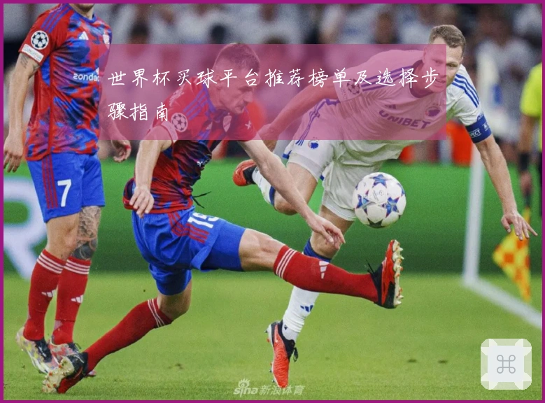 世界杯买球平台推荐榜单及选择步骤指南