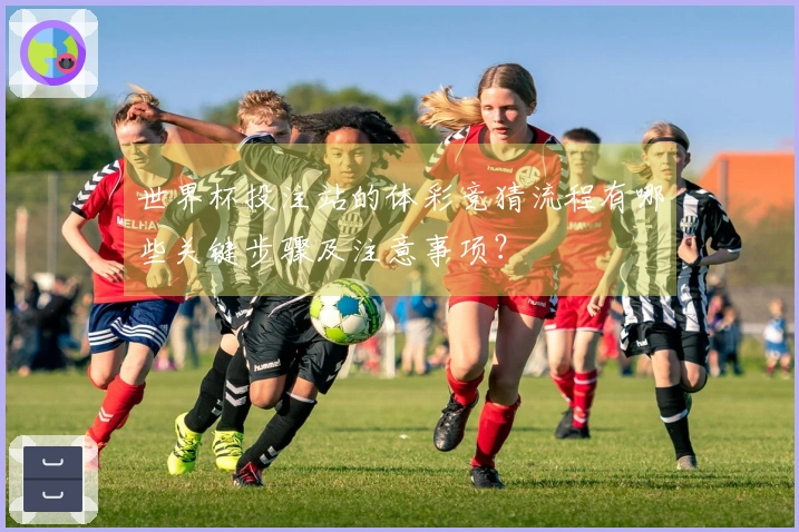 世界杯投注站的体彩竞猜流程有哪些关键步骤及注意事项？